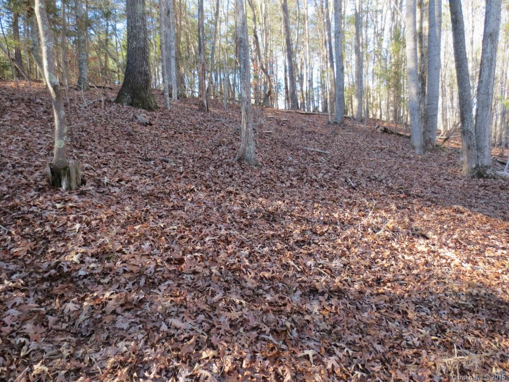 9026 Island Point Road, Unit 119 Charlotte, NC 28278 - Photo 8 of 20 Gallery Image 8