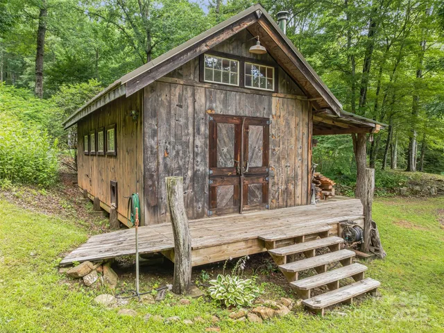 a plant that is in a garden