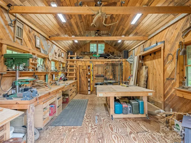 a plant view in yard