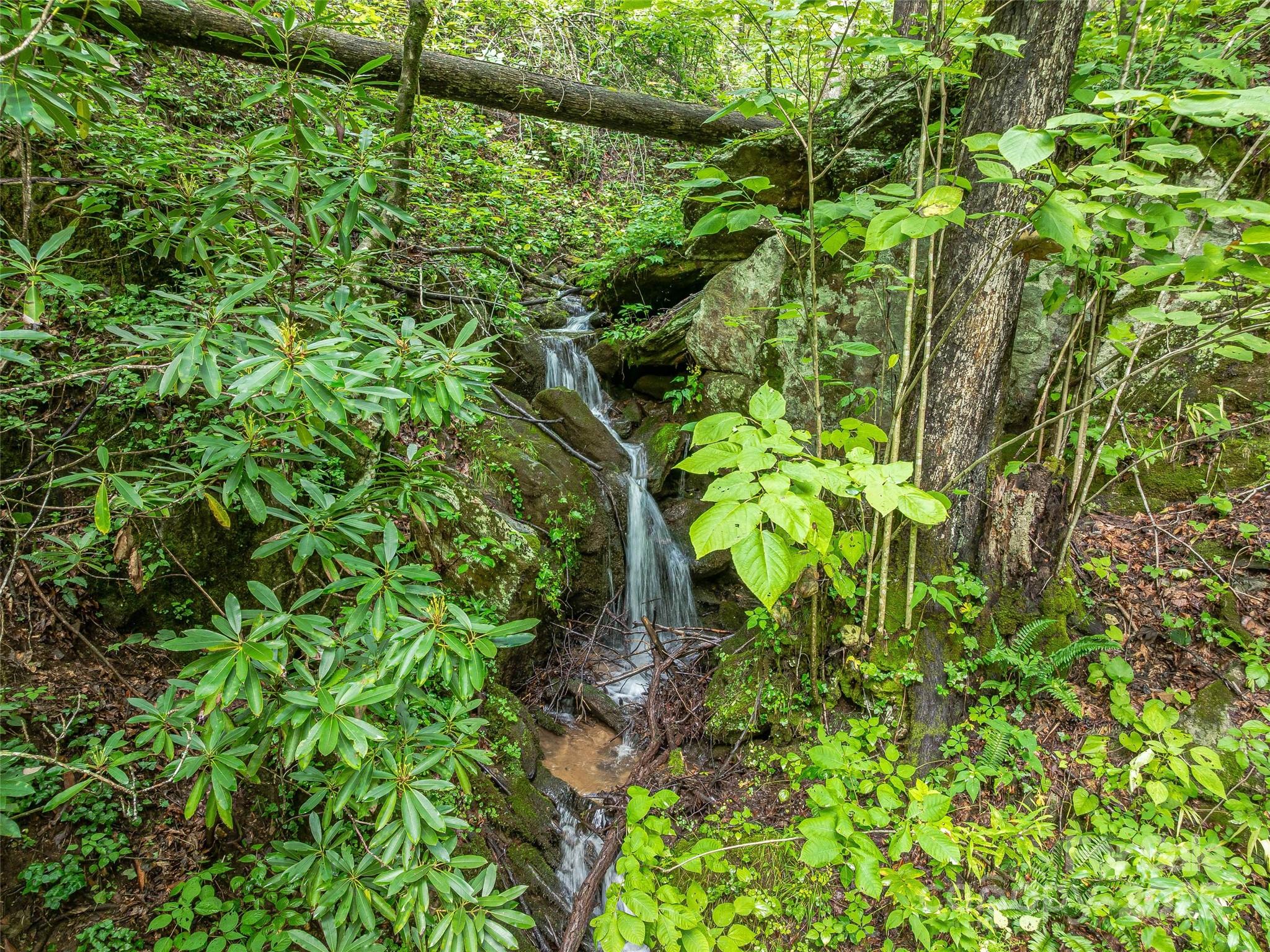 415 Shady Grv Road Tuckasegee, NC 28783 - Photo 45 of 48