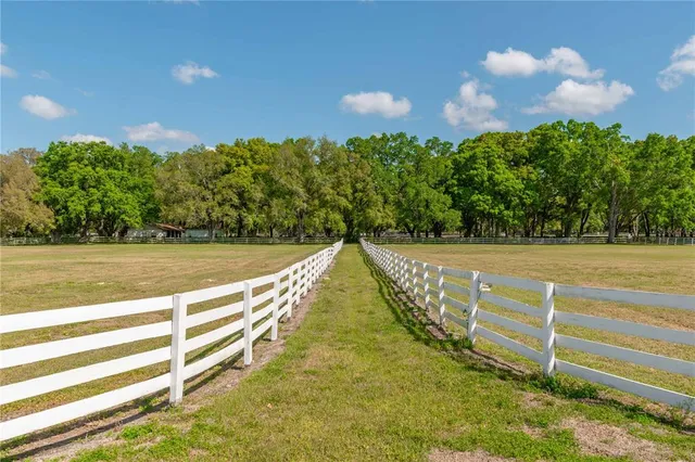 a view of a house with big yard and large trees