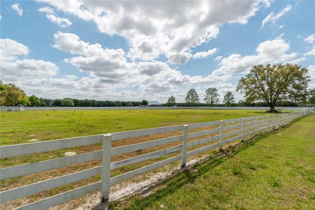 a living room with furniture flowerpot and a chandelier