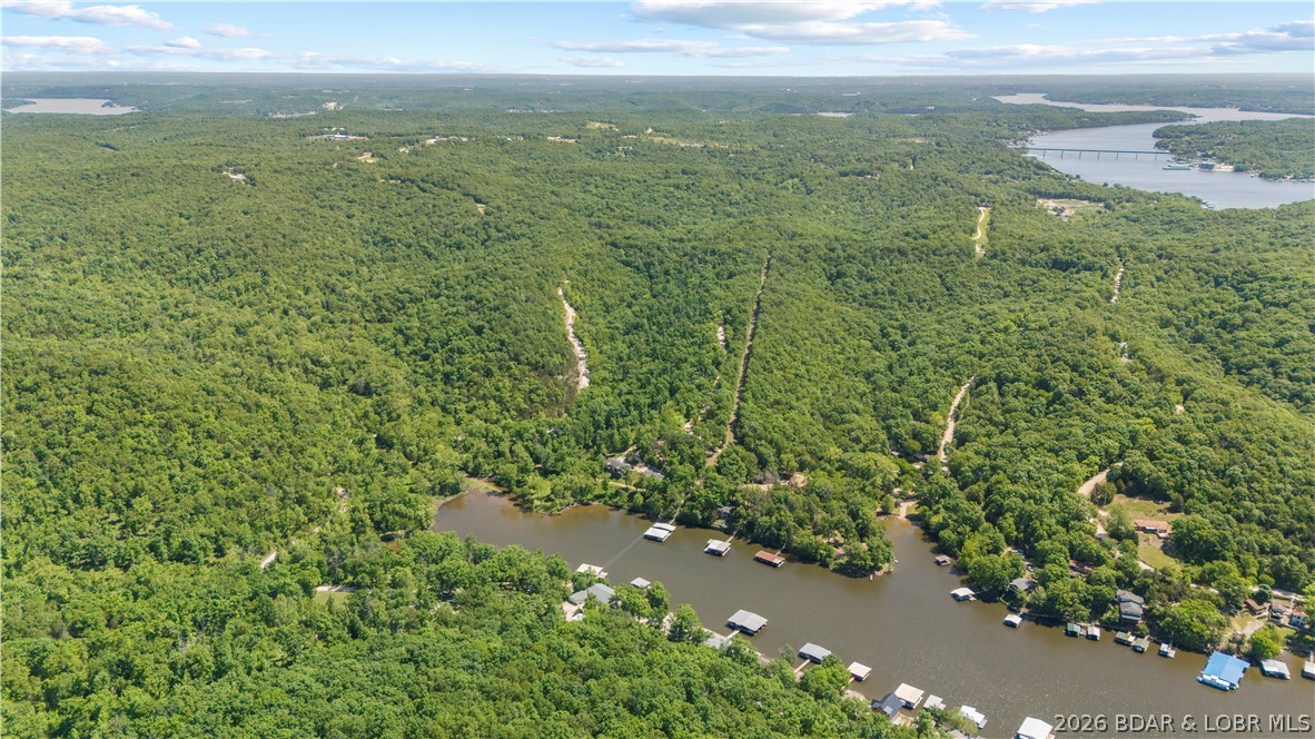 5-acres Pirates Pirates Cove Road Camdenton, MO 65020 - Photo 19 of 30