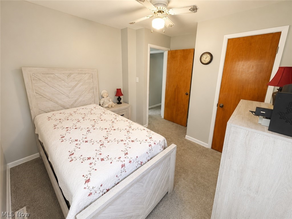 4148 Sherman Road Kent, OH 44240 - Photo 14 of 23 Cedar Closet