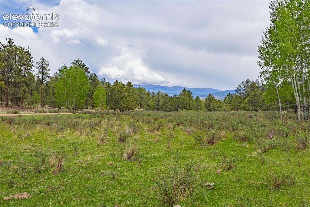 4250 Doe Valley Road Guffey, CO 80820 - Photo 1 of 35 Beautiful 20 acre lot in Guffey with views of Pikes Peak!