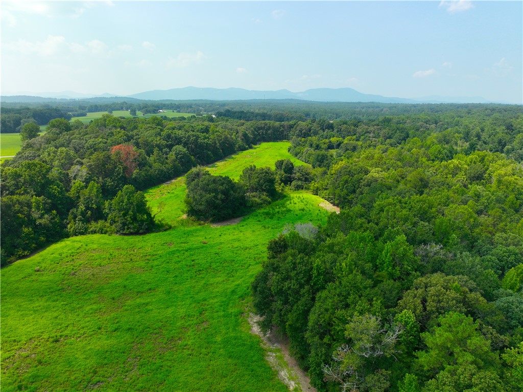 3961 Forrester Road Greer, SC 29651 - Photo 29 of 36 Gallery Image 29