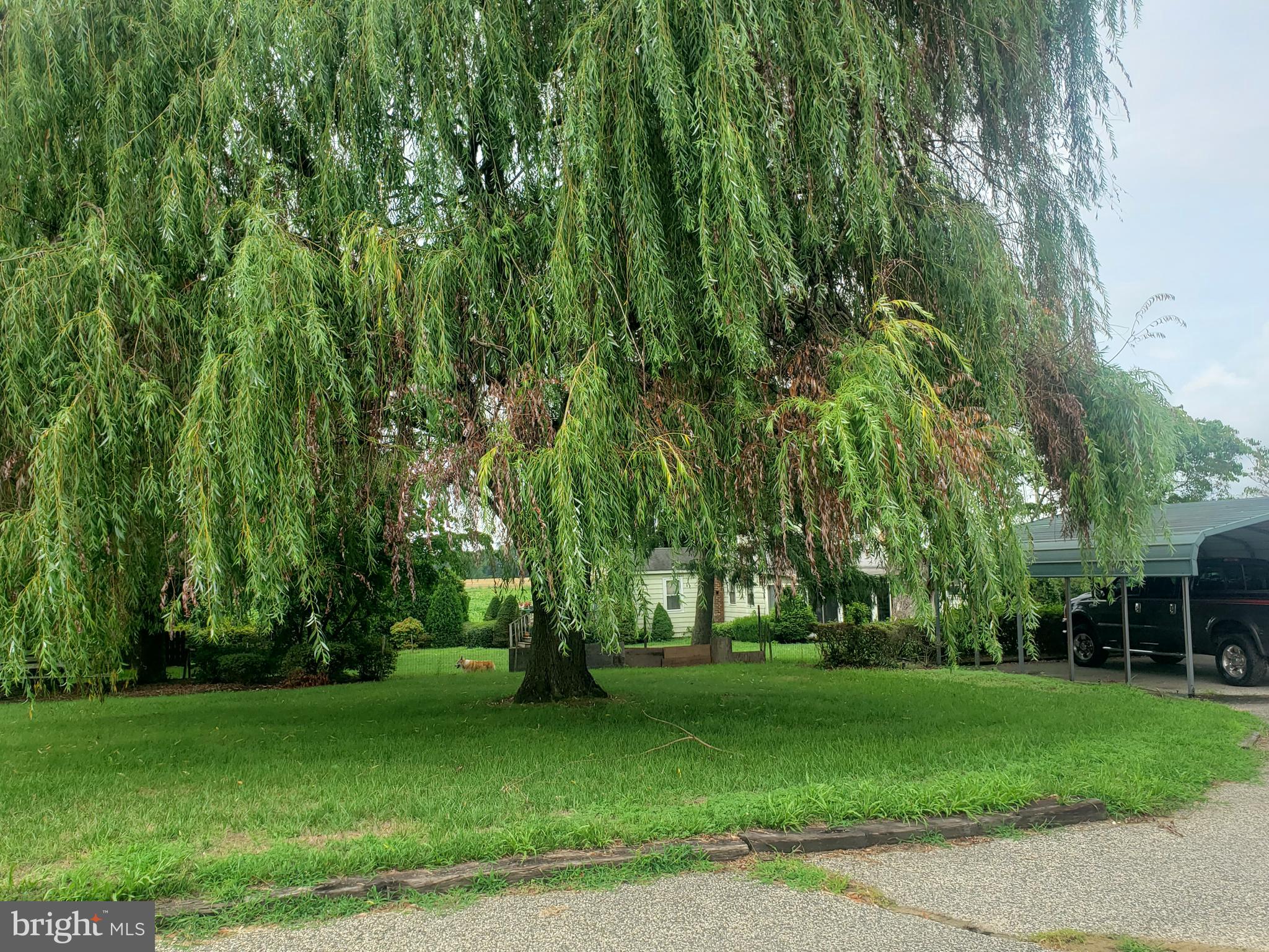 70 Sheppards Mill Road Bridgeton, NJ 08302 - Photo 6 of 25