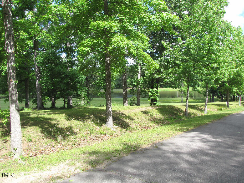 a view of a park with large trees