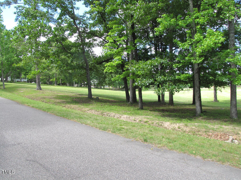 105 Normandy Road Louisburg, NC 27549 - Photo 2 of 5 a view of a park with tree s