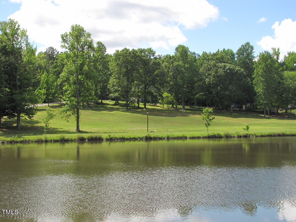 105 Normandy Road Louisburg, NC 27549 - Photo 4 of 5 a view of a lake with a large trees