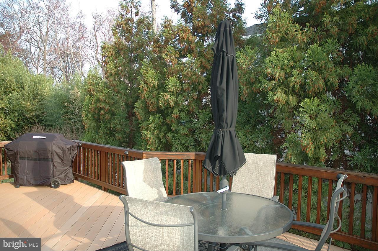 3612 Becherer Road Alexandria, VA 22309 - Photo 7 of 30 Deck