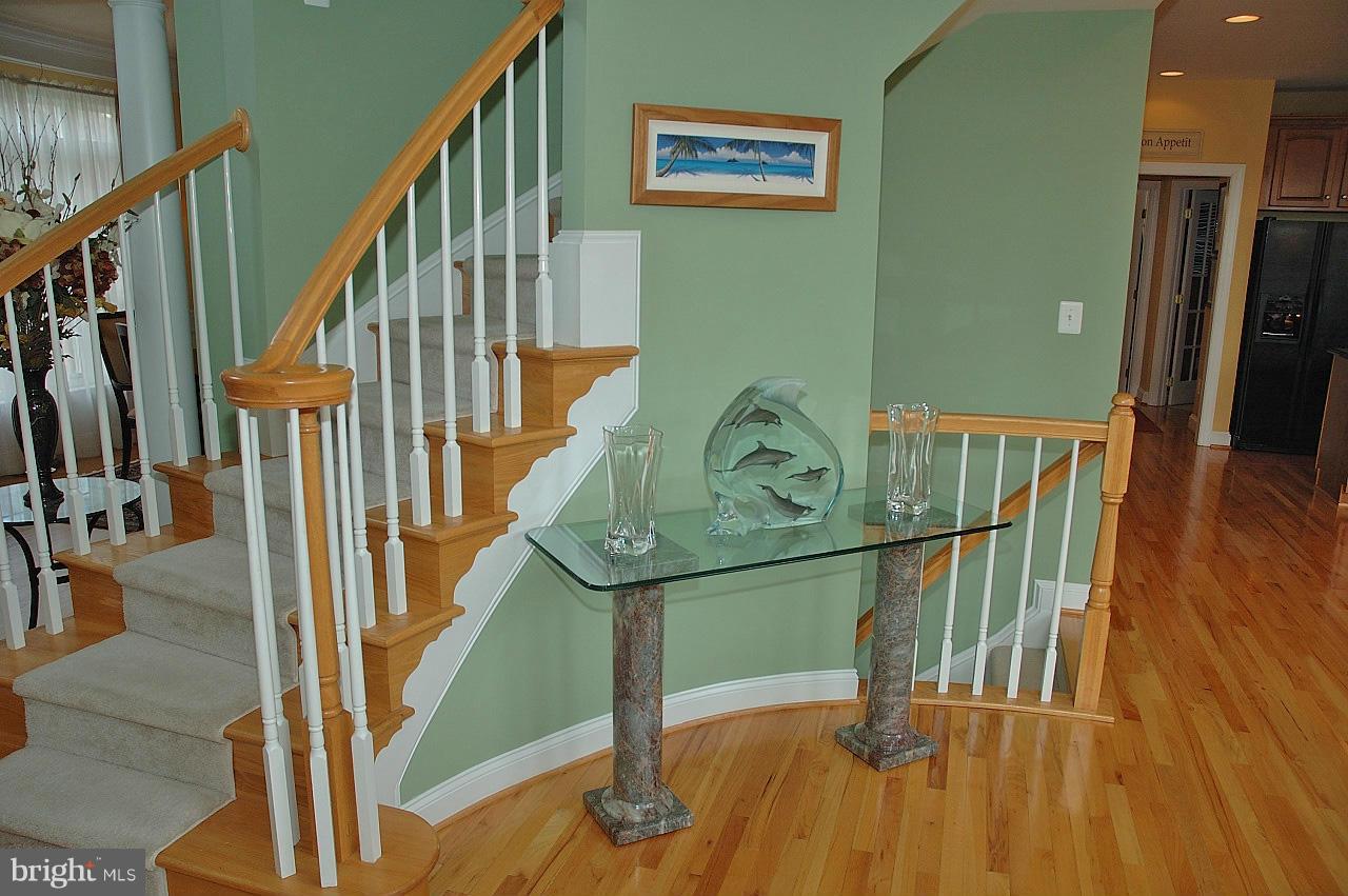 3612 Becherer Road Alexandria, VA 22309 - Photo 8 of 30 Foyer