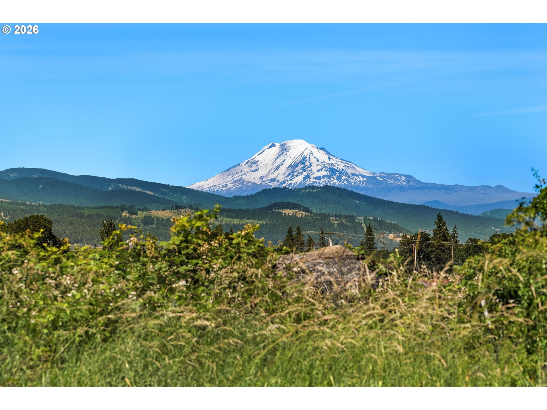 1810 Carter Road Hood River, OR 97031 - Photo 8 of 24
