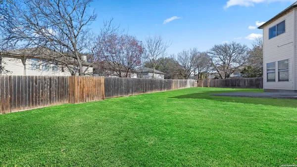 a view of a yard with large trees