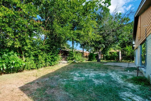 a view of a big yard with plants and large trees