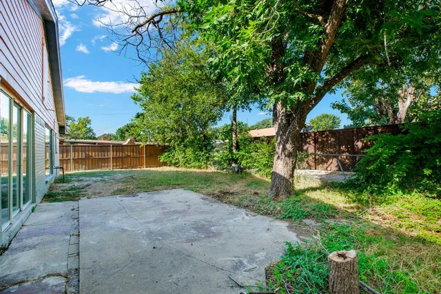 a view of a yard with plants and a large tree