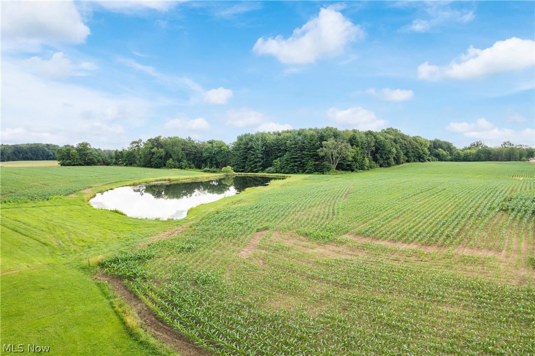 22840 Buck Road Alliance, OH 44601 - Photo 30 of 36 View of grassy yard featuring a water view, a view of countryside, and agricultural plots