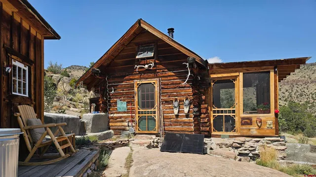 a view of backyard with a chair and the potted plant