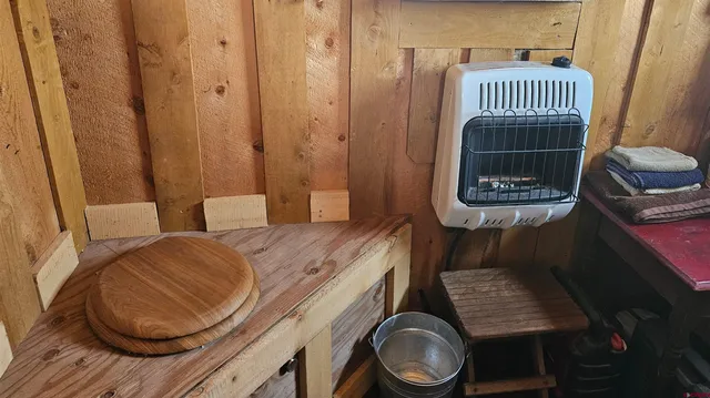 a view of a yard with plants and large trees