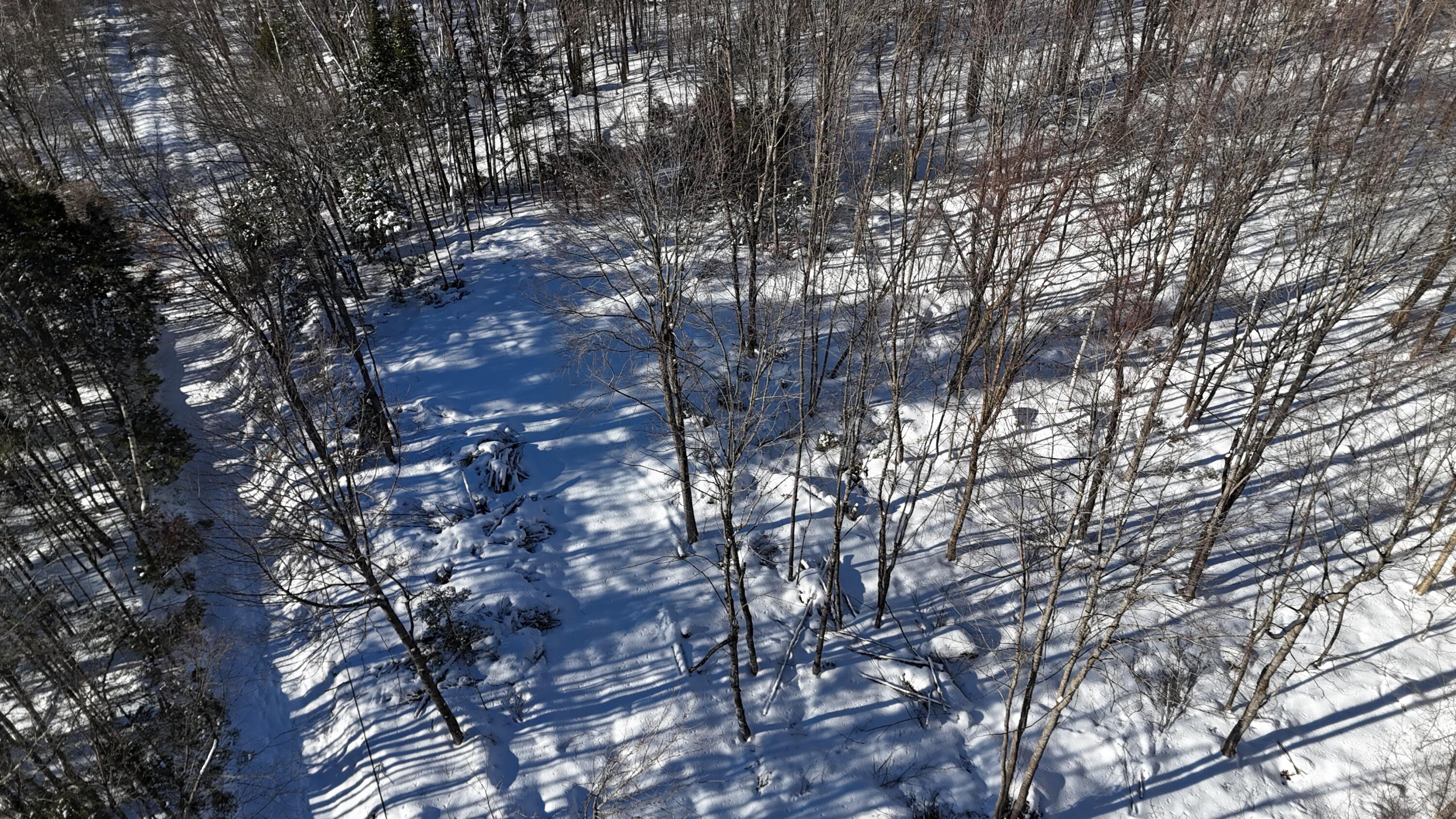 Tbd Dunn Road Norway, ME 04268 - Photo 8 of 17 DJI_20250202025749_0049_D