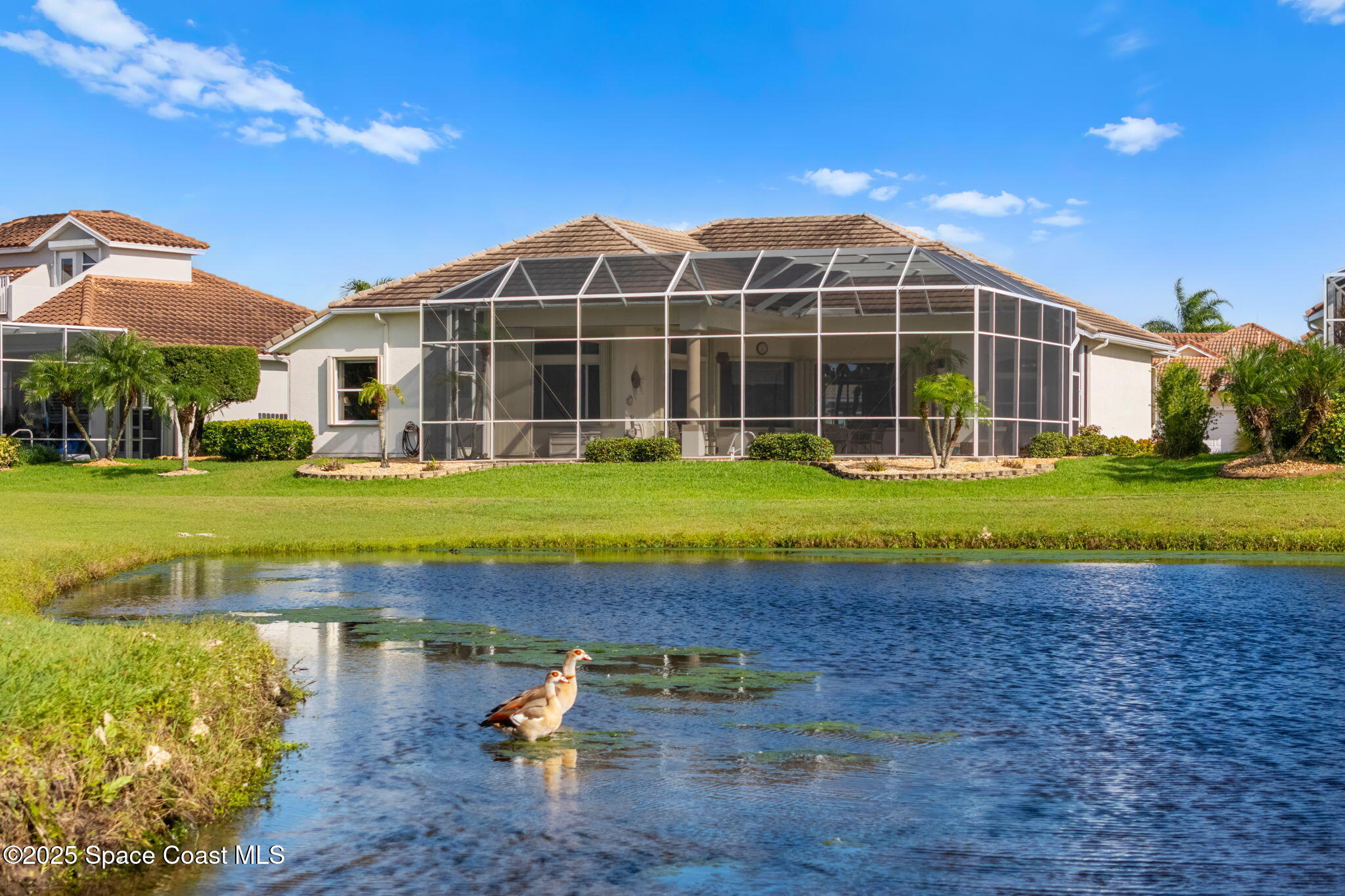 4319 Collingtree Drive Rockledge, FL 32955 - Photo 67 of 70 68-web-or-mls-DJI_20251015155948_0026_D_