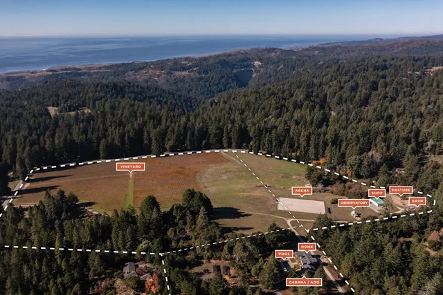 a view of a house with a yard and large tree