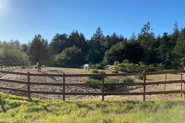 a view of outdoor space and yard