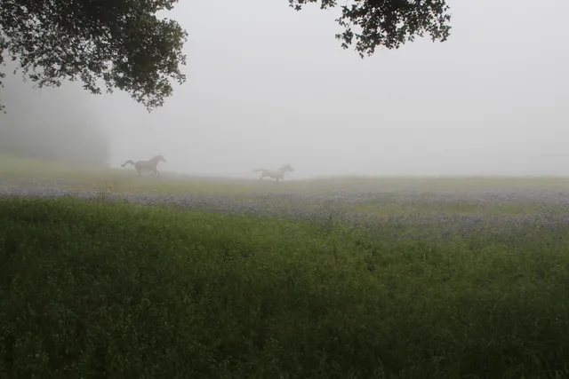 a view of a terrace with a bench