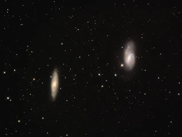 a view of a garden with trees