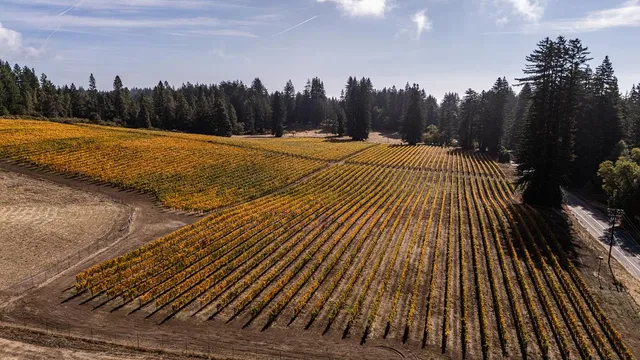 $8,495,000 | 420 Bonnie Brae, Santa Cruz, CA 95060