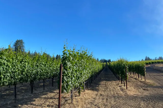 $8,495,000 | 420 Bonnie Brae, Santa Cruz, CA 95060