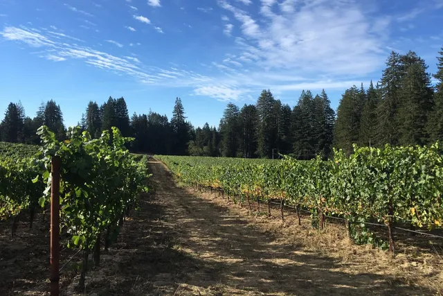 $8,495,000 | 420 Bonnie Brae, Santa Cruz, CA 95060