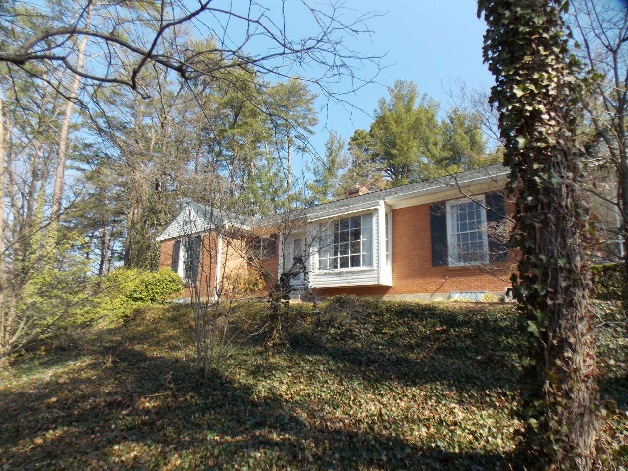 353 Walnut Road Salem, VA 24153 - Photo 1 of 13 Front