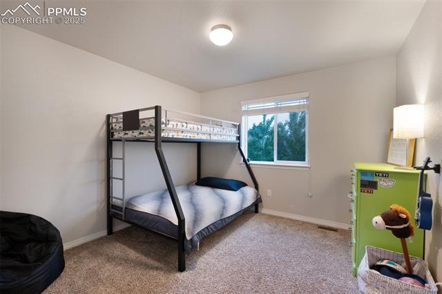 6038 Jorie Road Colorado Springs, CO 80927 - Photo 21 of 41