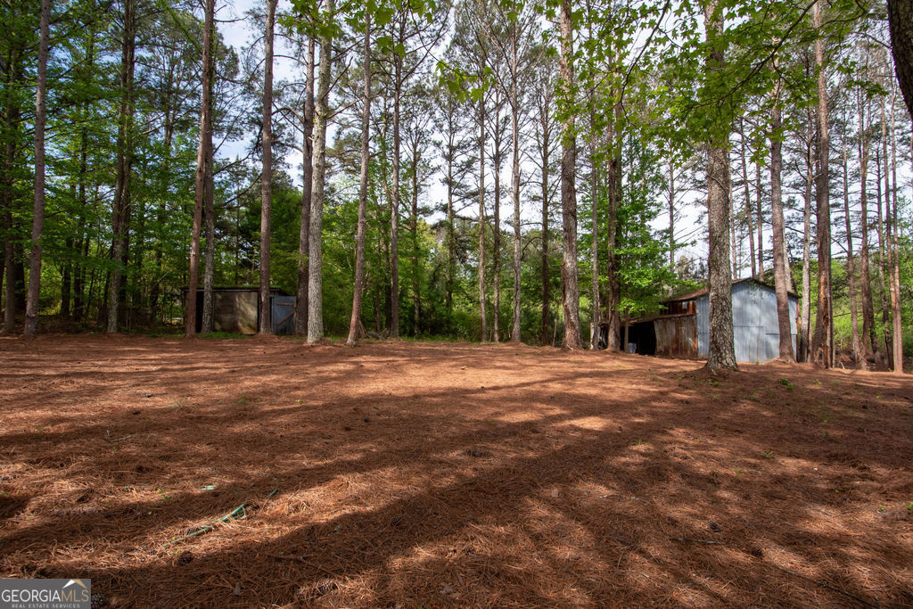 598 Beavers Road Grantville, GA 30220 - Photo 41 of 58
