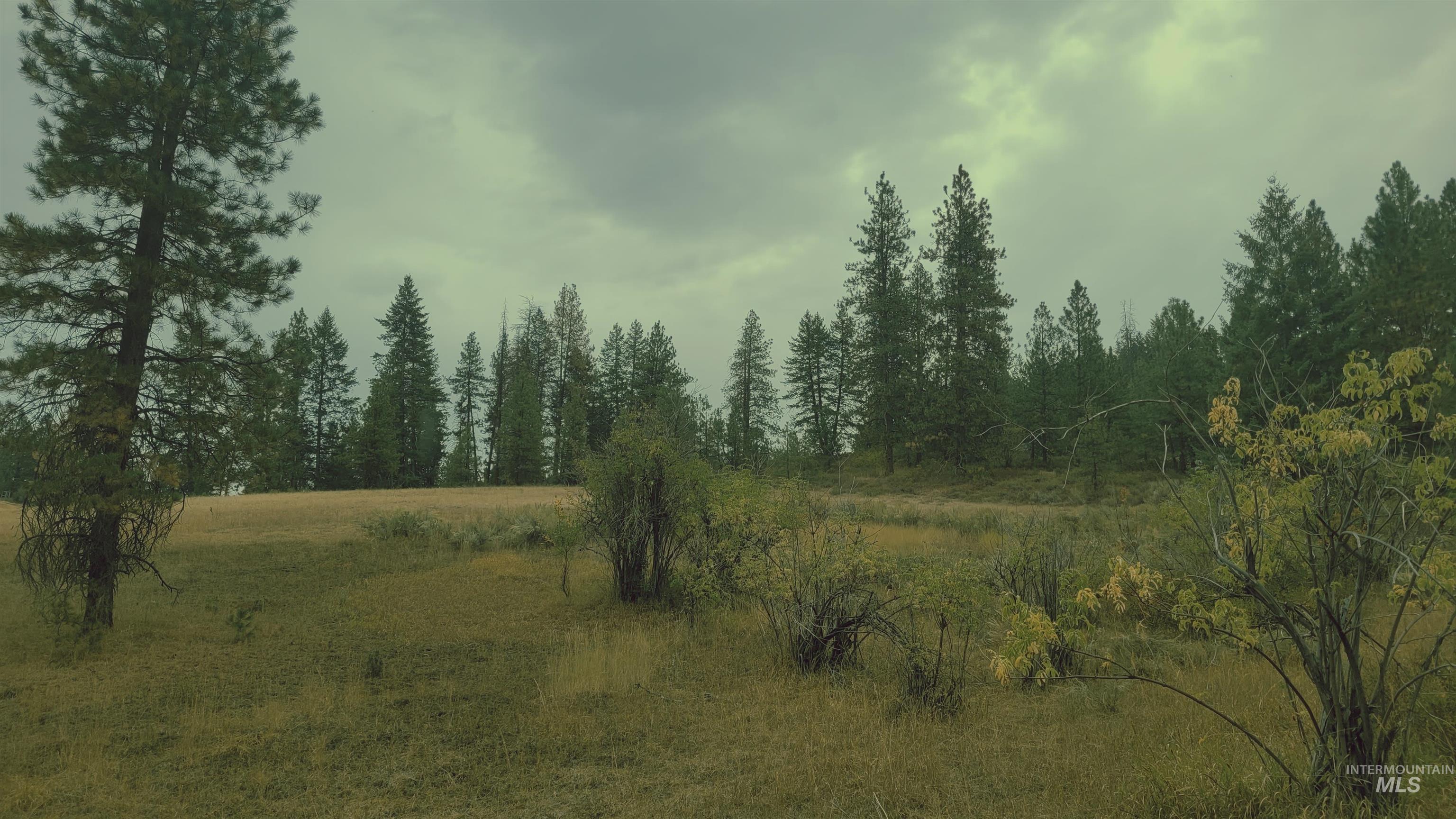 Tbd Tbd Adams County Council, ID 83612 - Photo 2 of 10 View of local wilderness