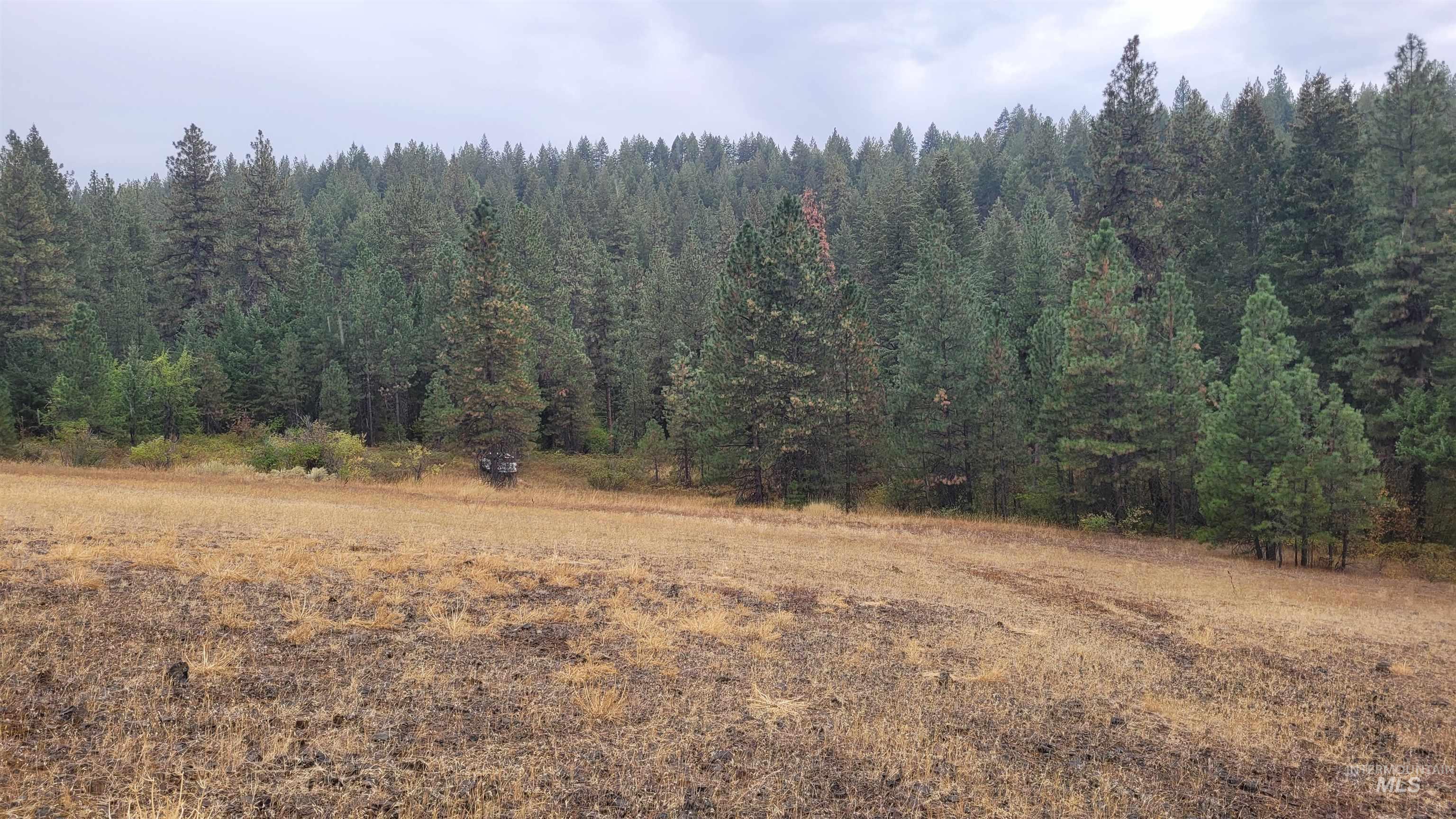 Tbd Tbd Adams County Council, ID 83612 - Photo 3 of 10 View of wooded area featuring a view of countryside