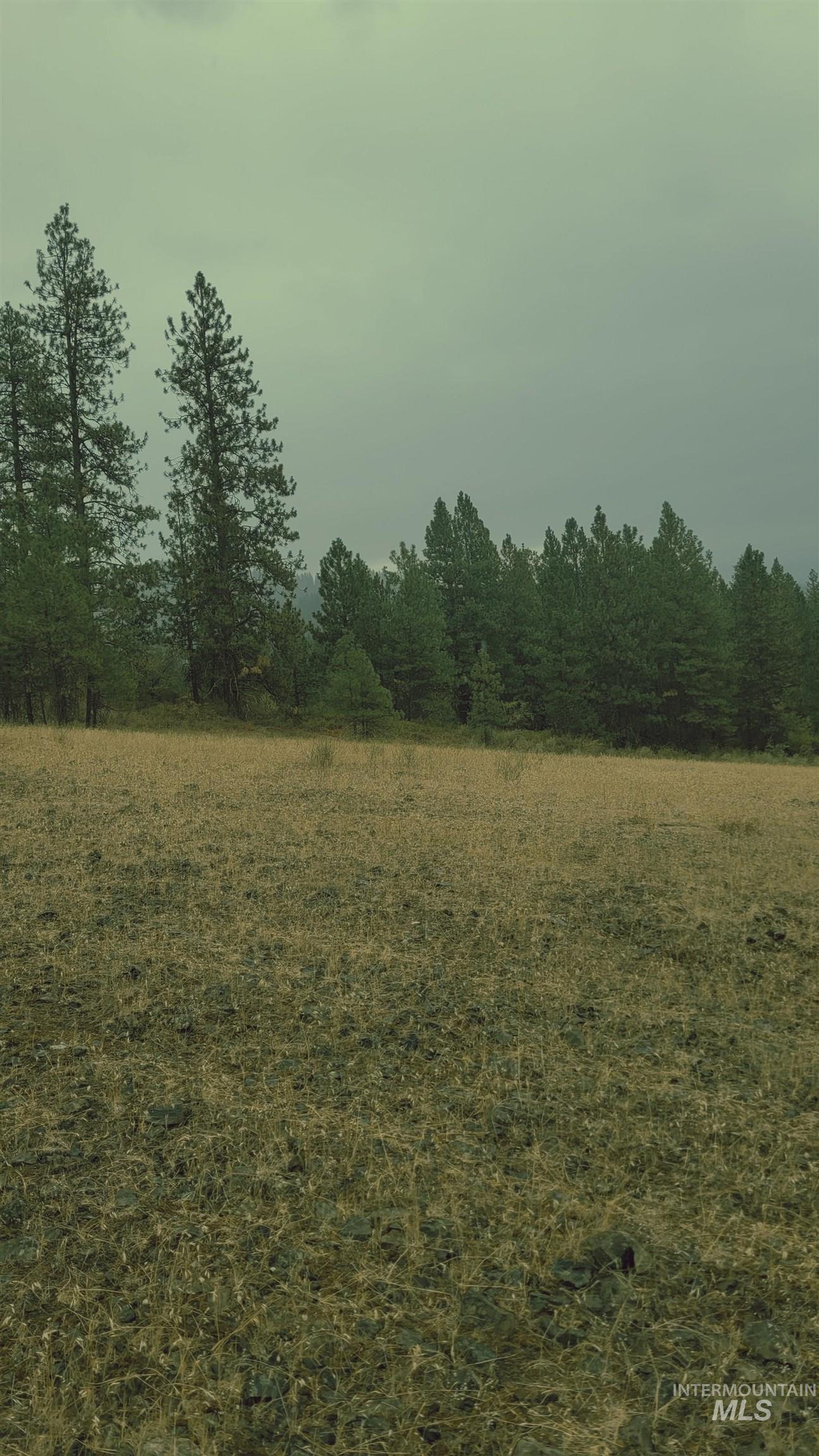 Tbd Tbd Adams County Council, ID 83612 - Photo 9 of 10 View of local wilderness featuring rural landscape