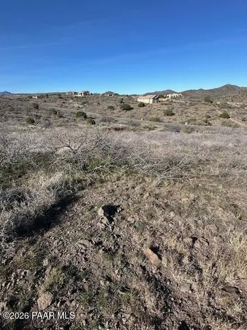 a view of mountain with tall trees