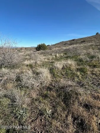 a view of a field with an ocean