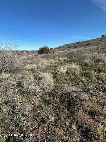 a view of a field with an ocean