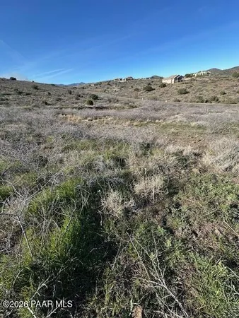 a view of a dry yard with wooden fence