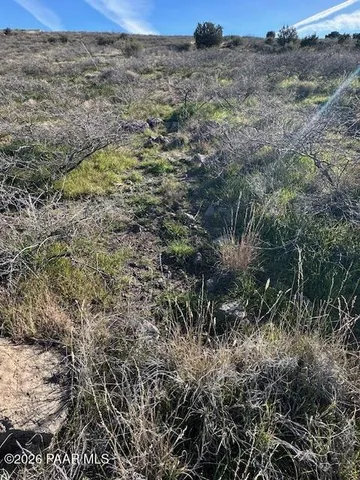 a view of a backyard of a house
