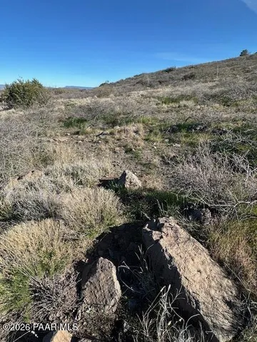 a view of a forest with a mountain in the background