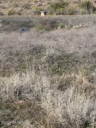 a view of a dry yard with wooden floor