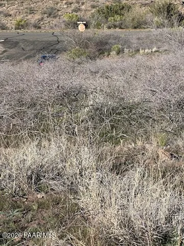 a view of a dry yard with wooden floor