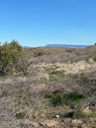 a view of a dry yard with trees in the background