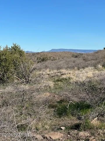 a view of a dry yard with trees in the background