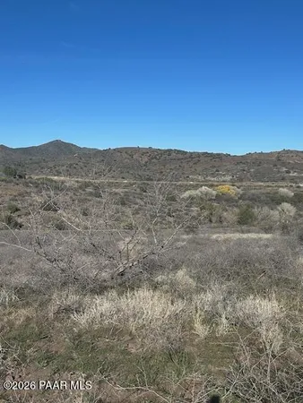 a view of a dry yard with mountains in the background