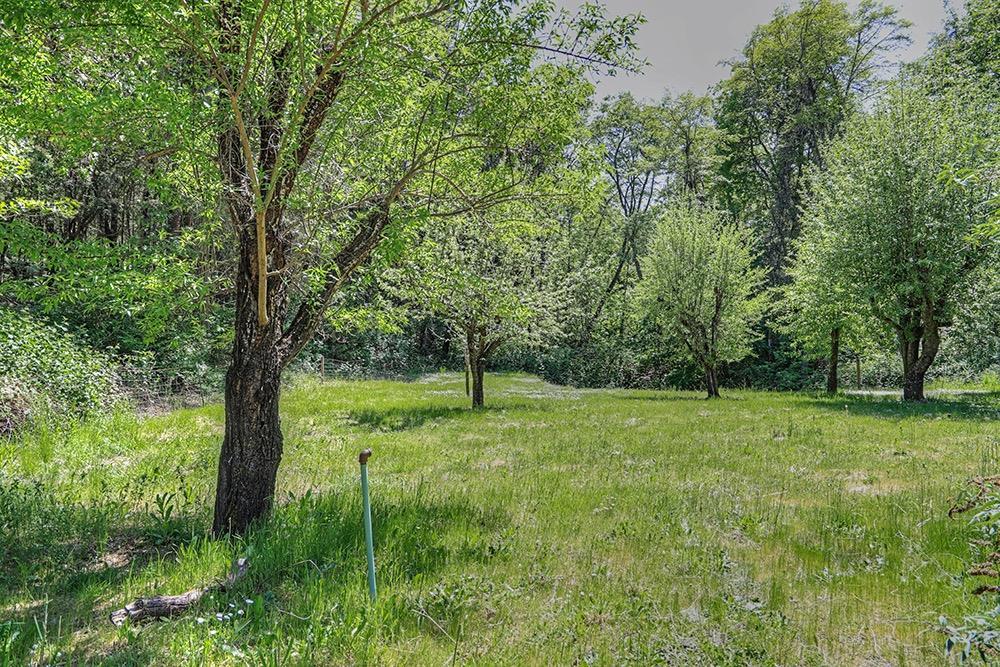 448 Pass Creek Road Grants Pass, OR 97526 - Photo 28 of 35 Additional Photo